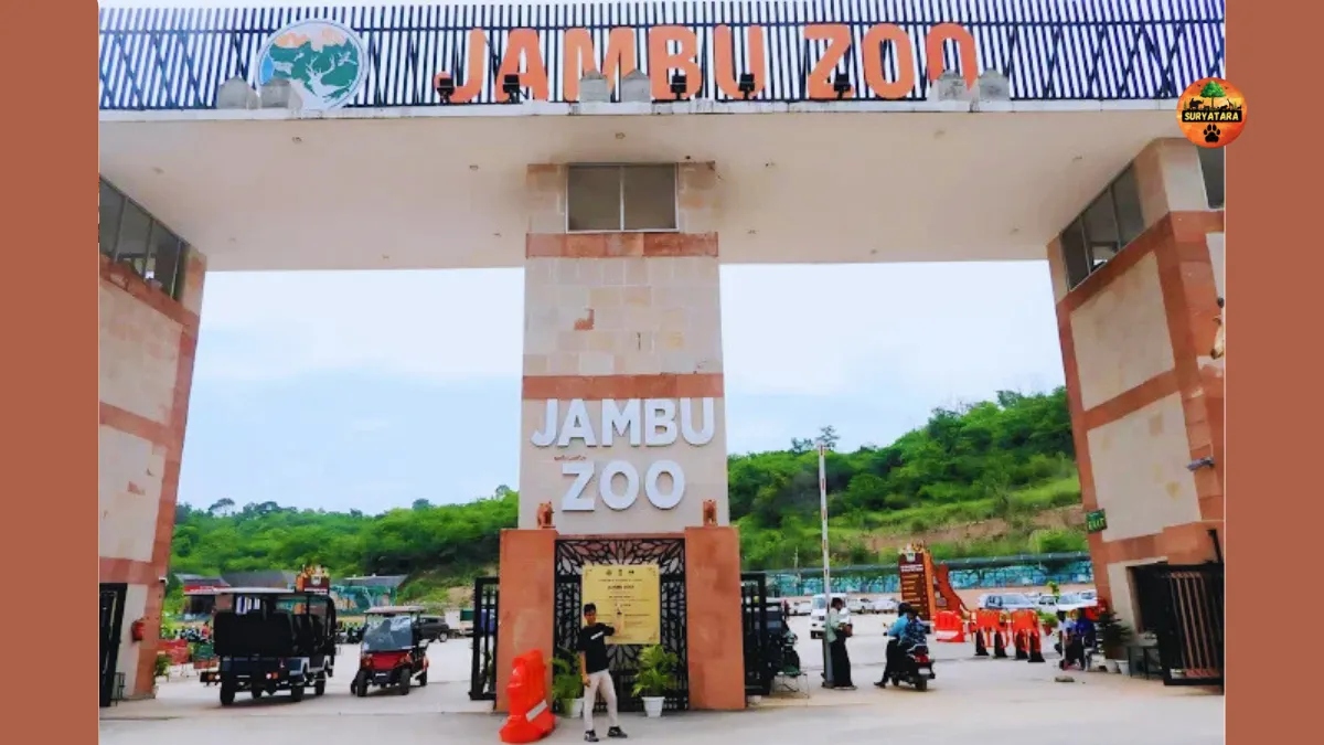 Jambu Zoo