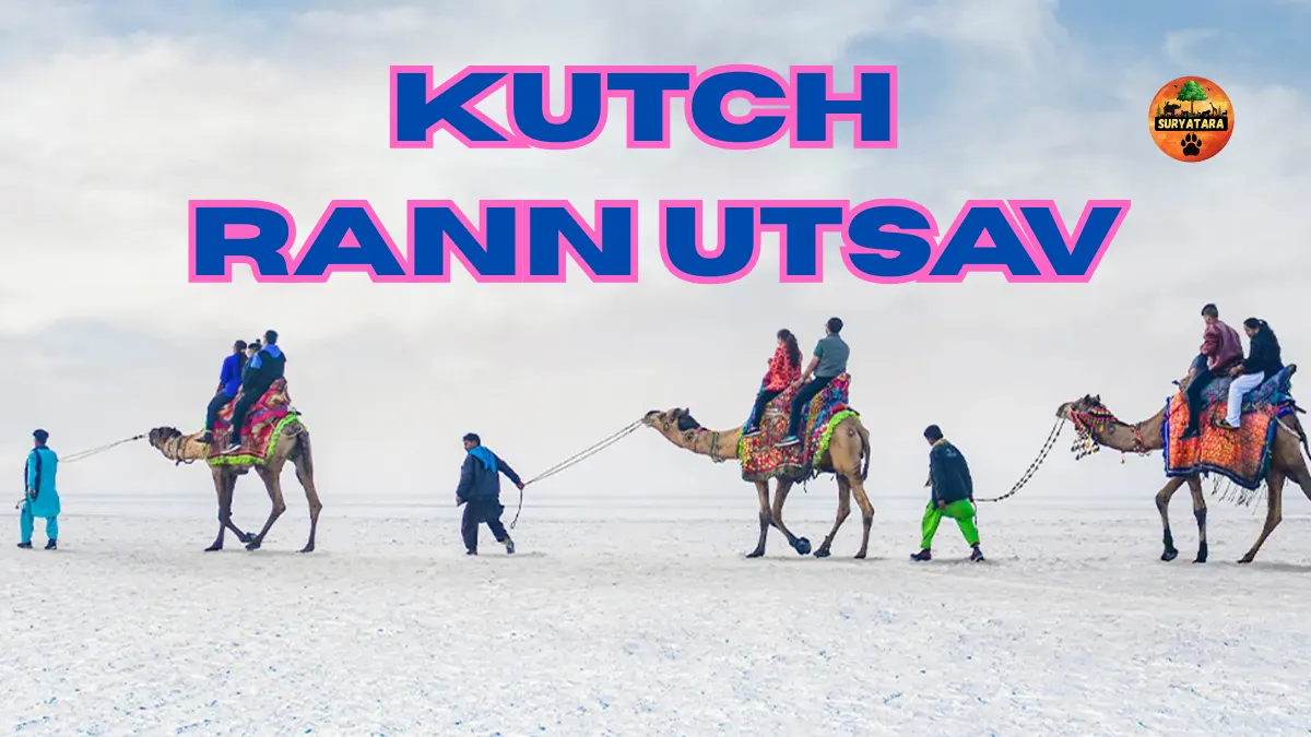 kutch rann utsav