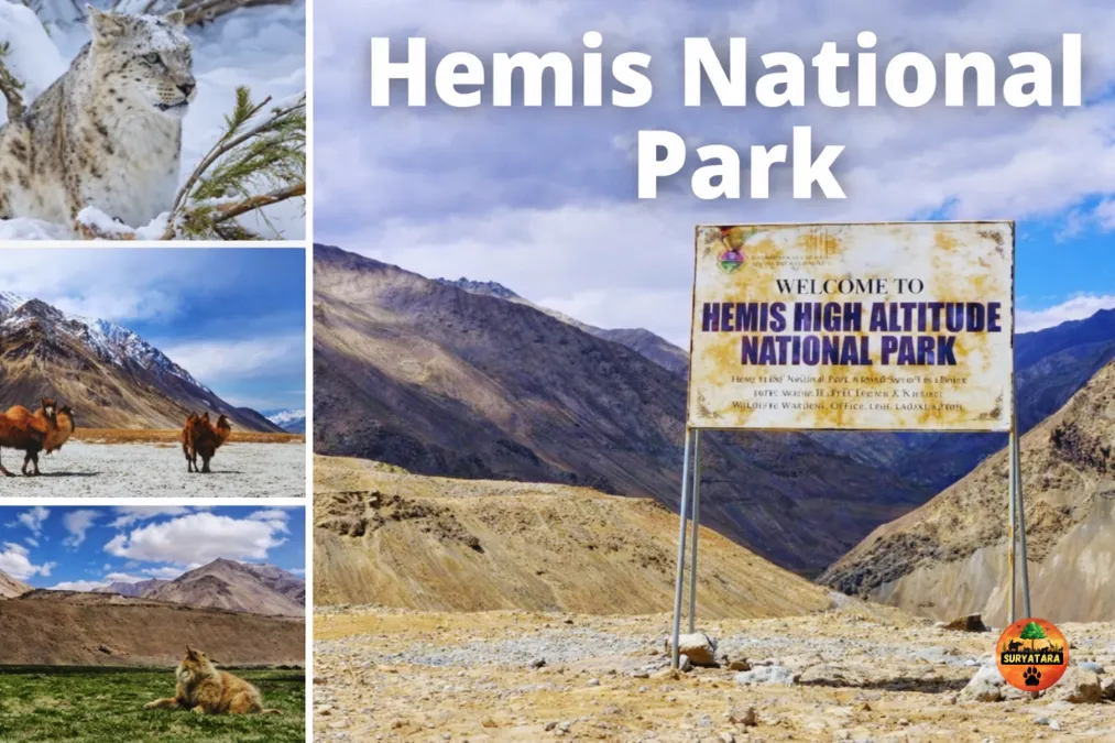 Hemis National Park in Which State
