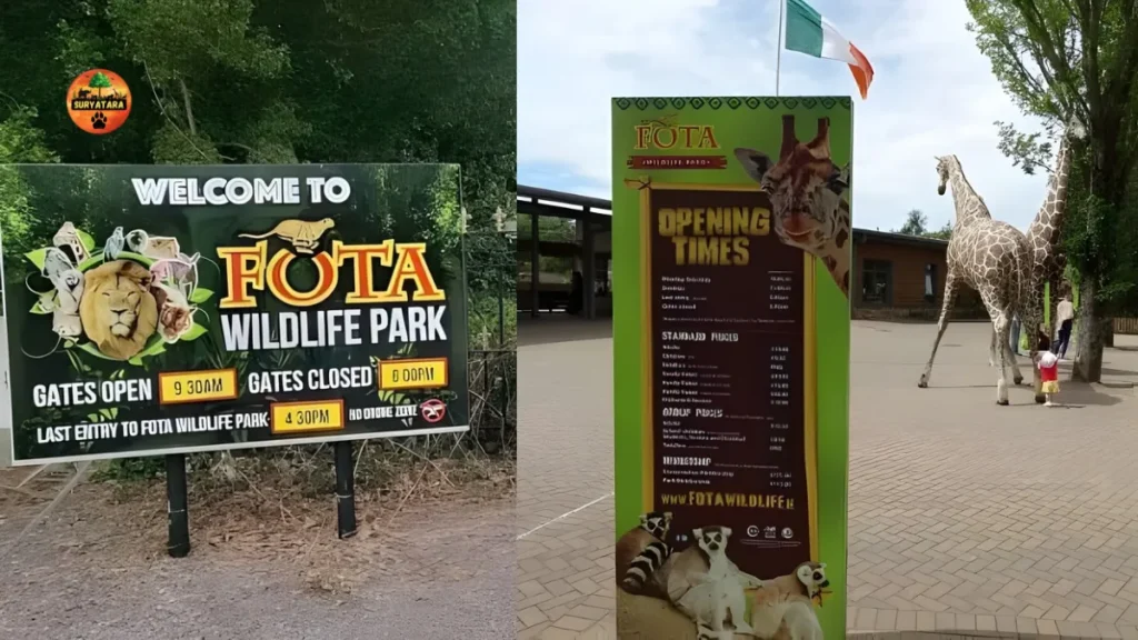 Fota Wildlife Park