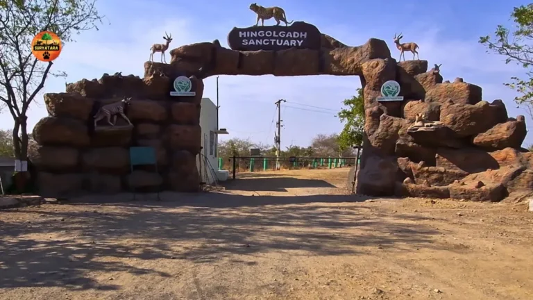 Hingolgadh Nature Education Sanctuary