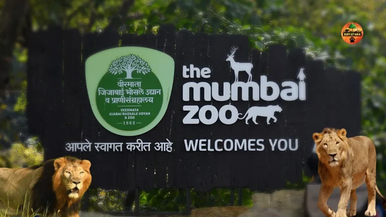 The Mumbai Zoo