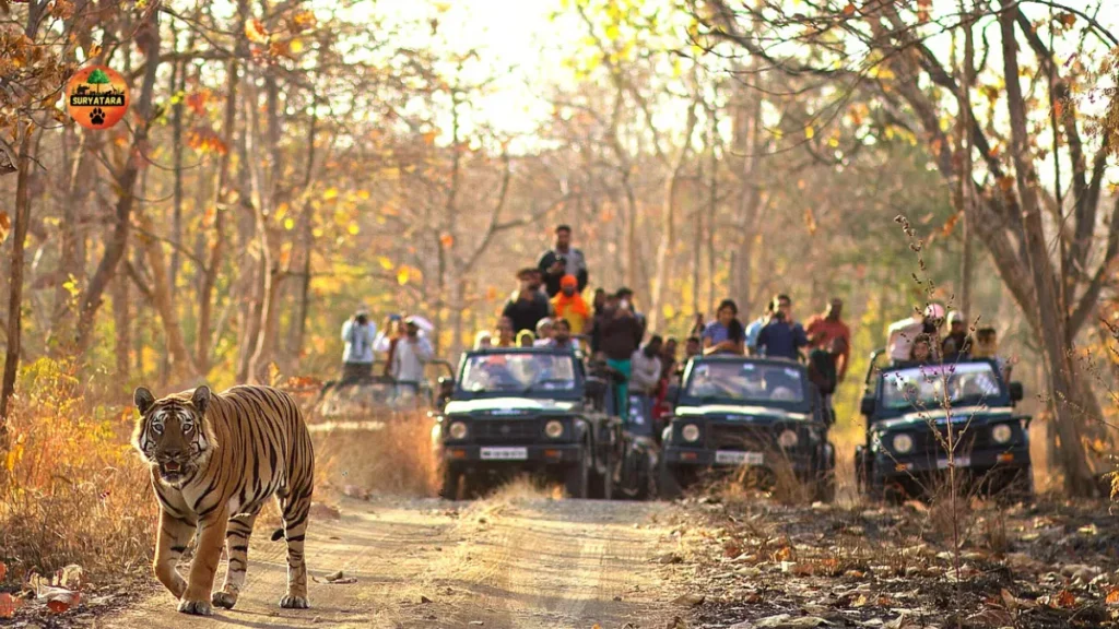 Tipeshwar Wildlife Sanctuary Booking
