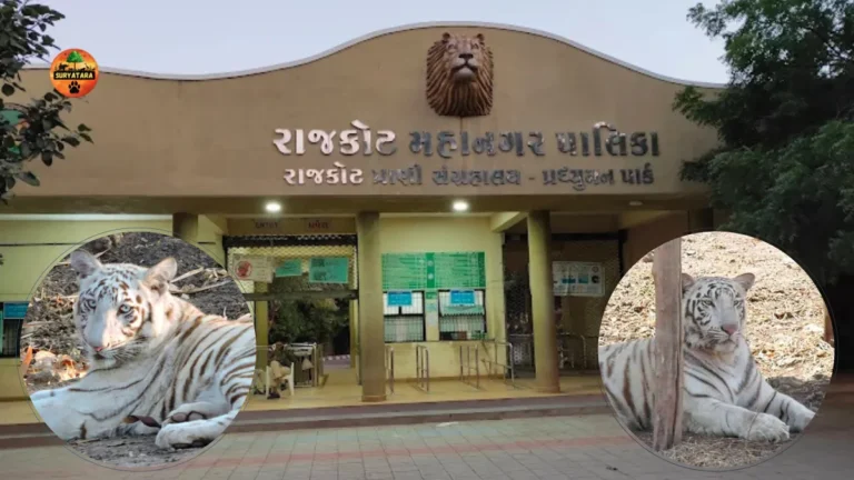 Pradhyuman Zoological Park