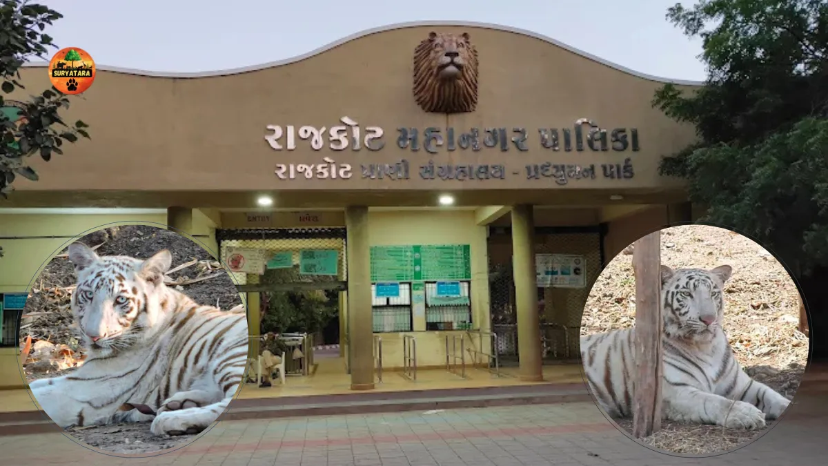 Pradhyuman Zoological Park